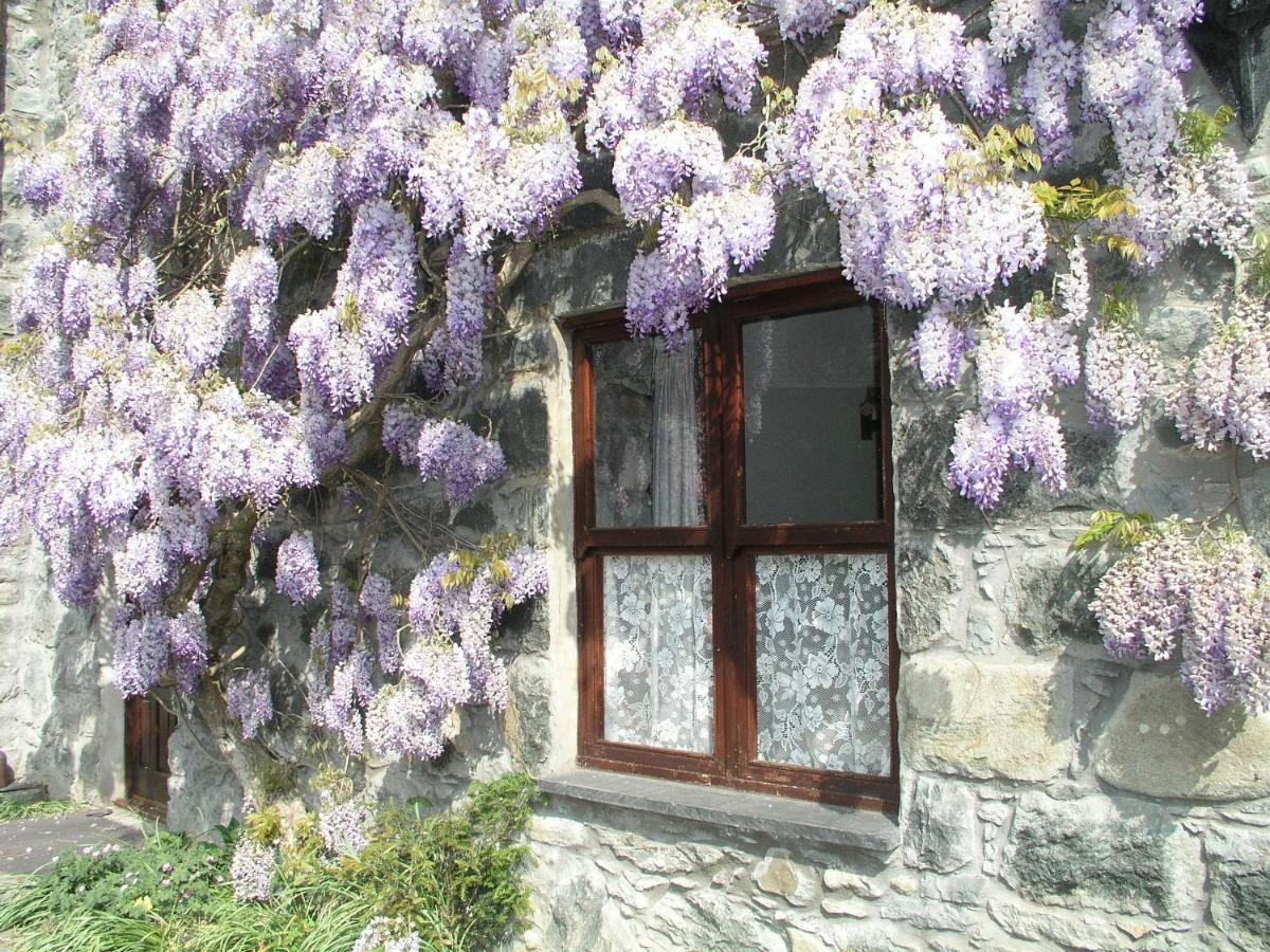 Conwy Valley Cottages Exterior photo